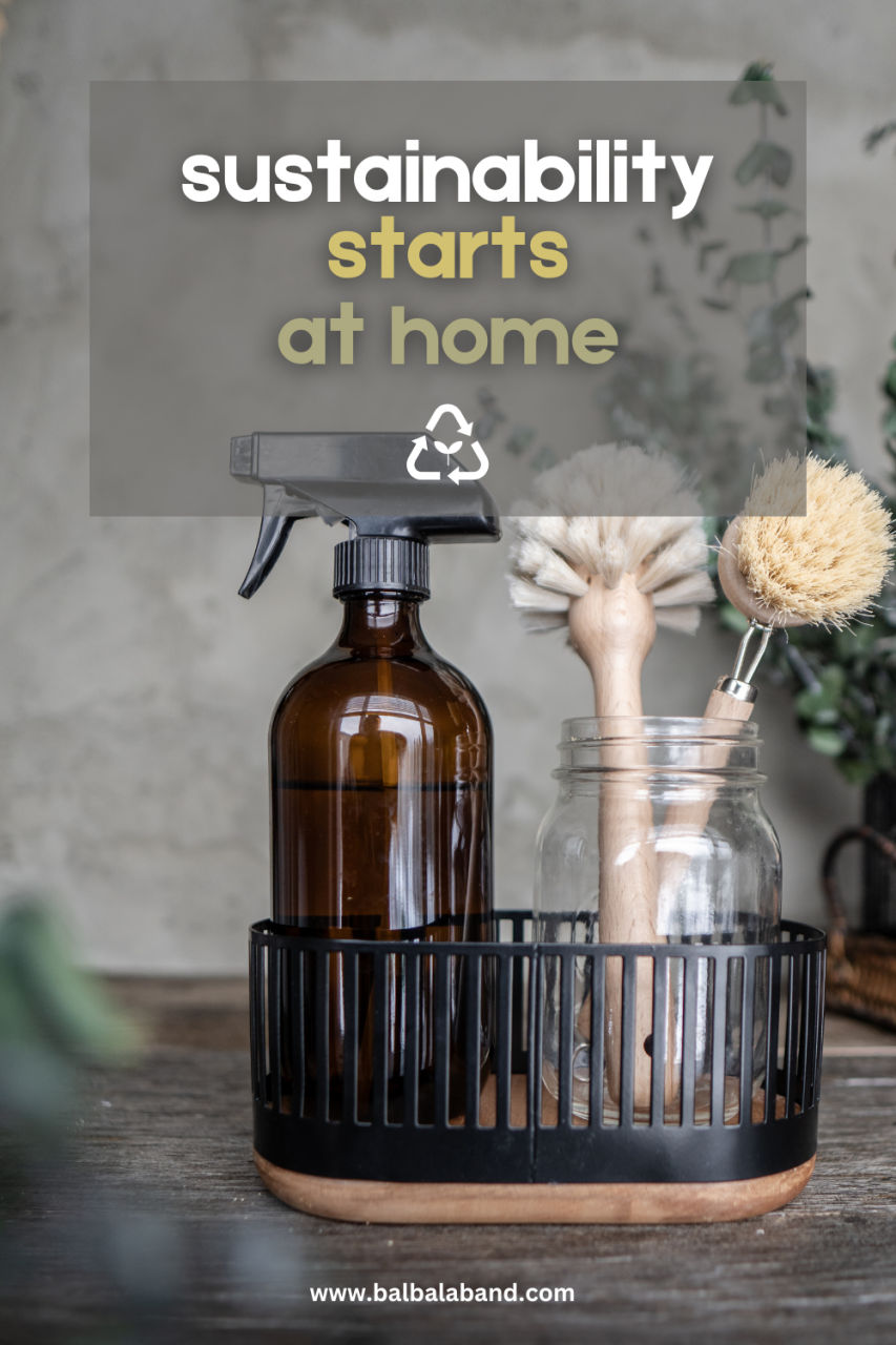 Sustainability Starts at Home: Simple Changes for an Eco-Friendly Family Life